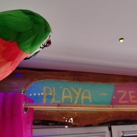 Wonder Room Paraiso Magico Habitacion 네르하 외부 사진