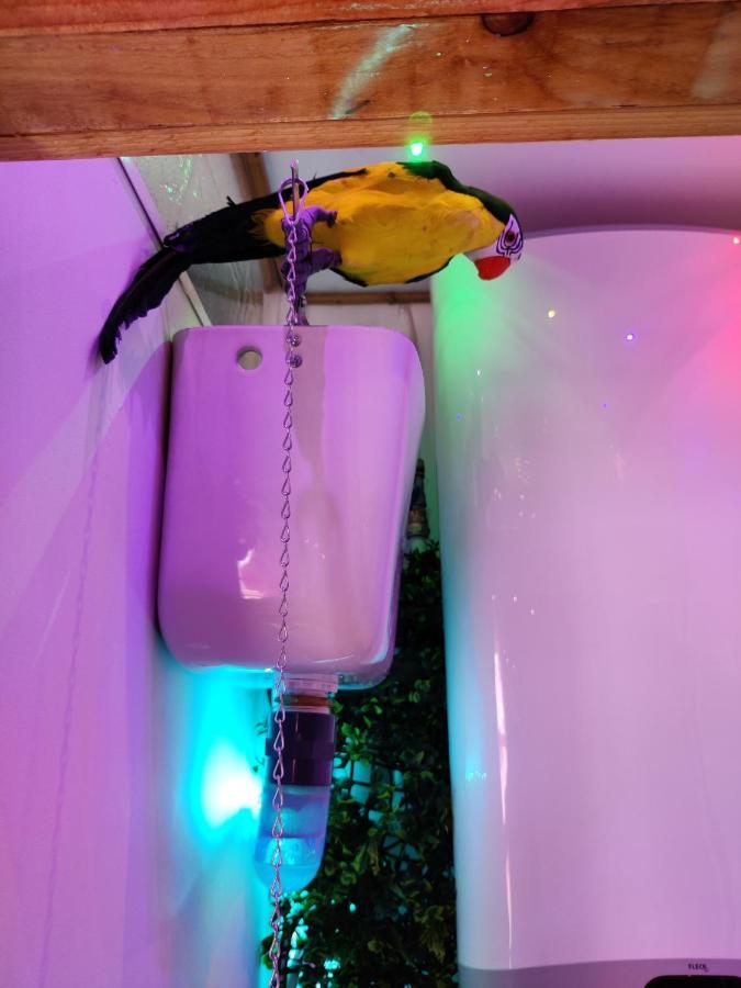 Wonder Room Paraiso Magico Habitacion 네르하 외부 사진